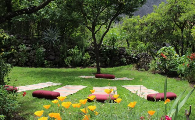 The Gardens